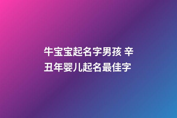 牛宝宝起名字男孩 辛丑年婴儿起名最佳字